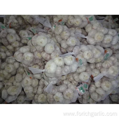 Normal White Garlic Fresh Crop 2019 Jinxiang